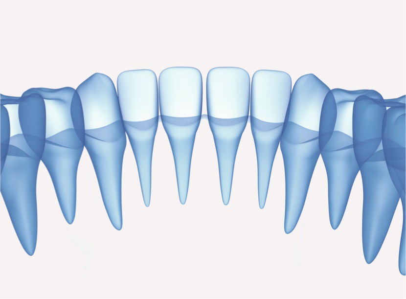 Medicinski precizna 3D ilustracija ortopanskog snimaka