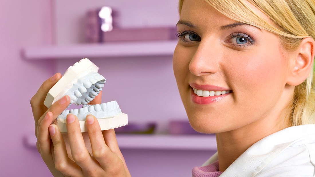 Doktorica drži model zuba u rukama.