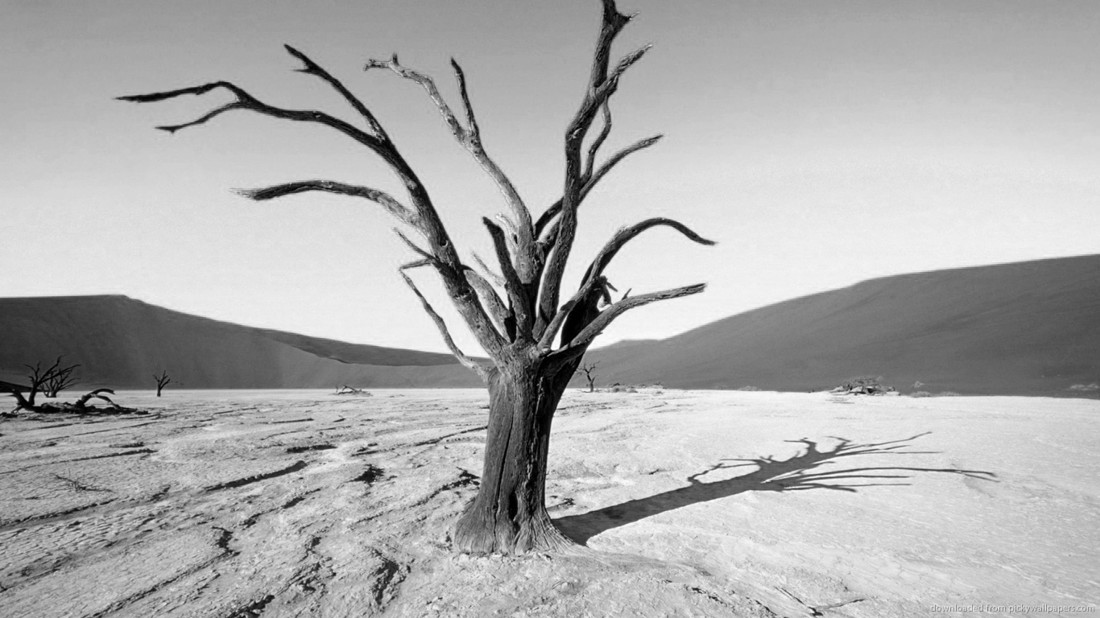 Prikaz mrtvog drveta kao mrtvog zuba.