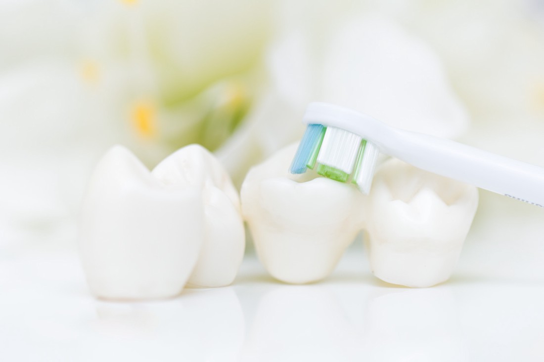 3d modeli zuba s četkicom.