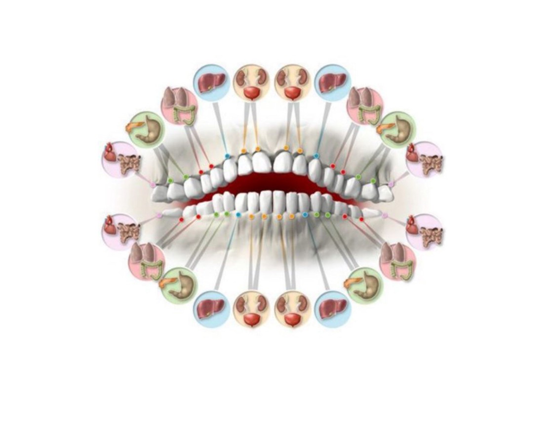 Prikaz zuba i oragana s kojeg se reflektira bol.