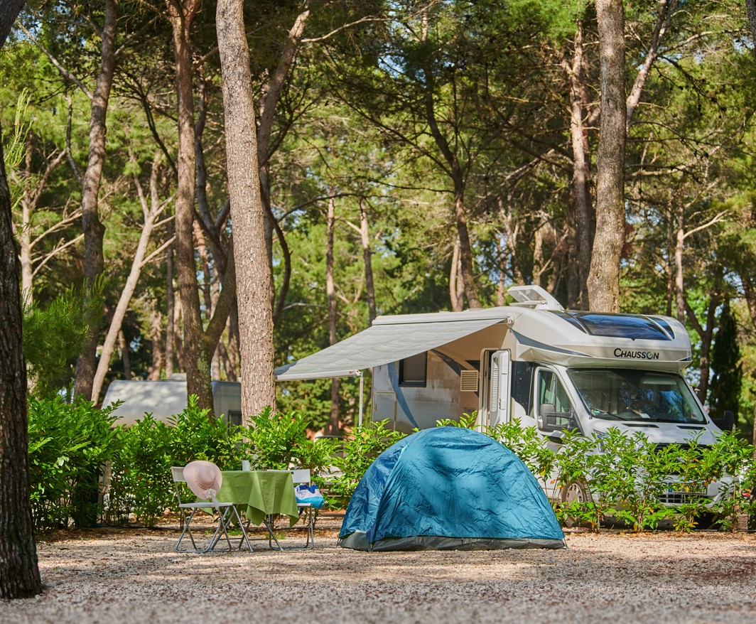 Veld omgeven door bomen bij Aminess Planet Camping Sirena, Novigrad