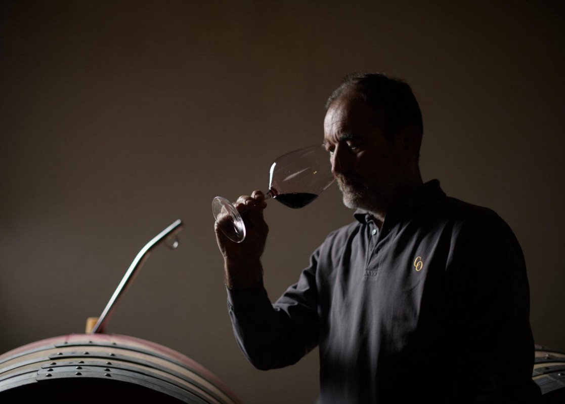 aminess-blog-must-visit-wineries-of-istria-coronica-tasting