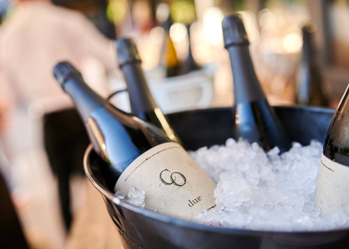 aminess-blog-must-visit-wineries-of-istria-coronica-wines