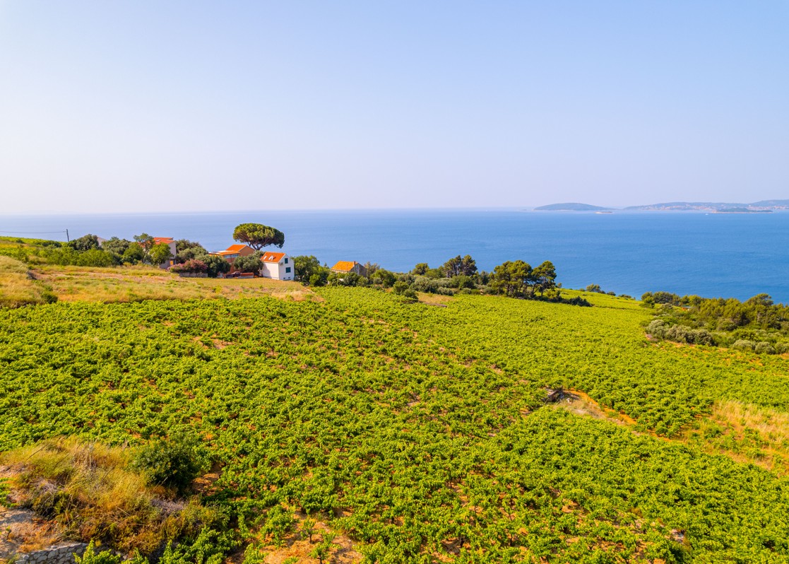 aminess-coastal-vineyard-houses-sea-view