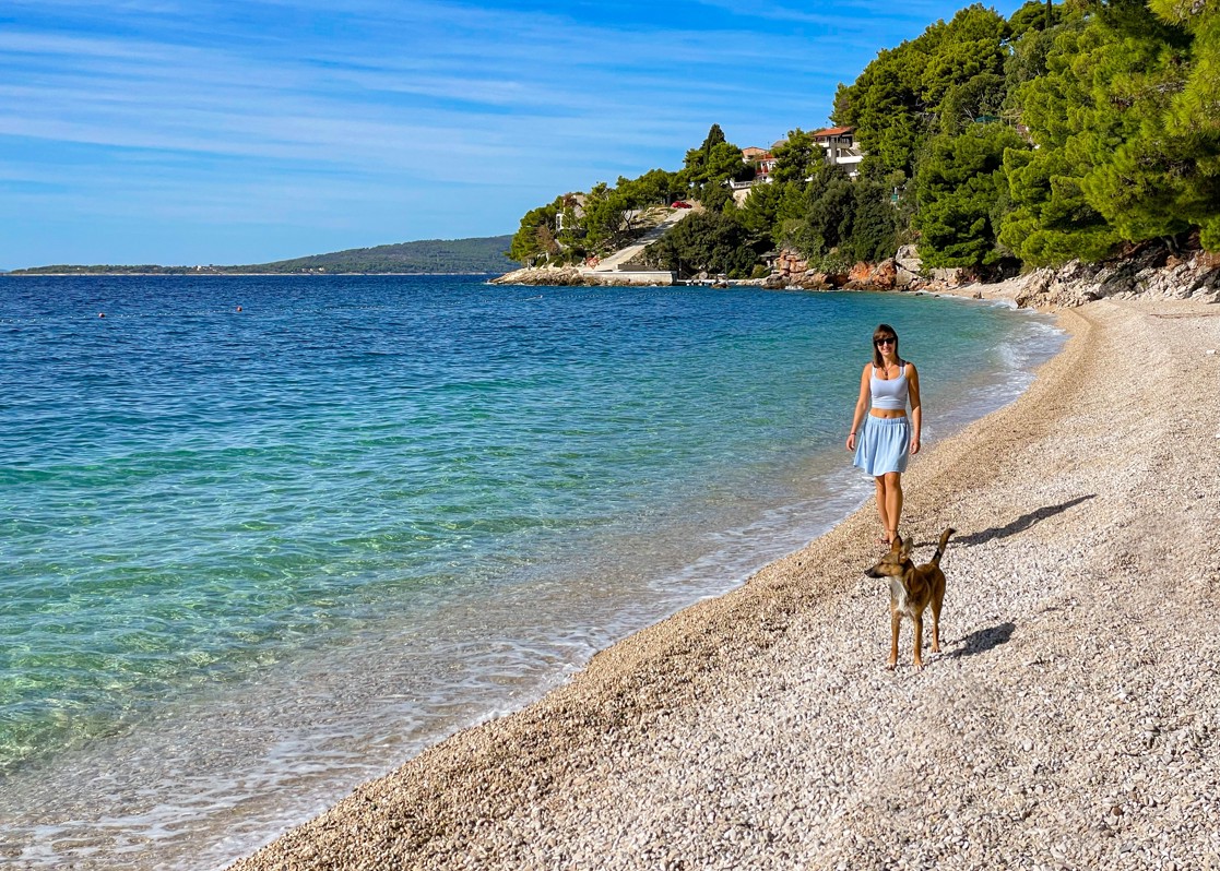 aminess-blog-pet-friendly-beach-dalmatia