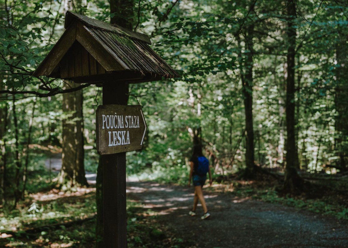 aminess-blog-leska-forest-hiking-trail