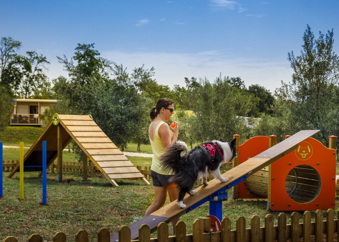 aminess-blog-pet-friendly-beach-istria