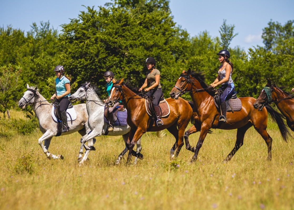 aminess-blog-active-holiday-in-njivice-equestrian-club