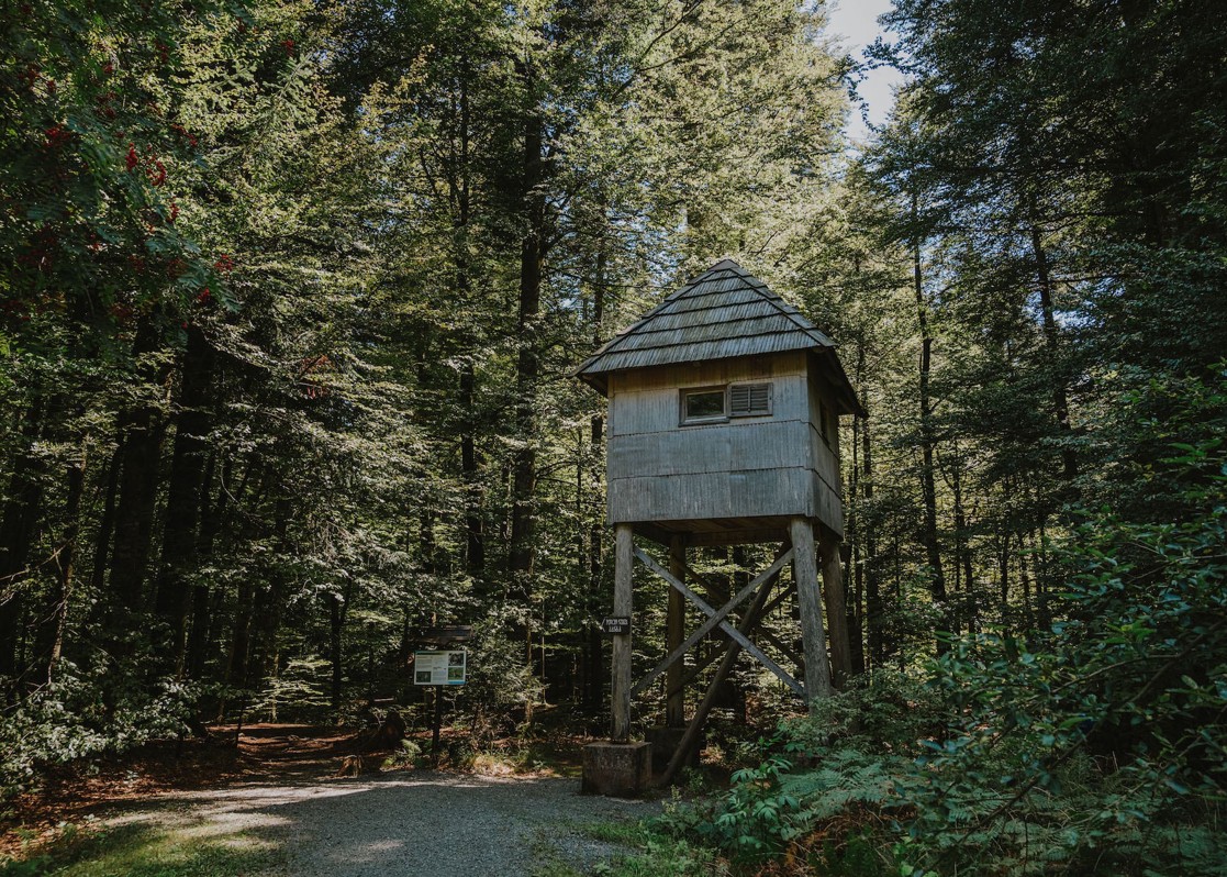 aminess-blog-leska-forest-watchtower-trail