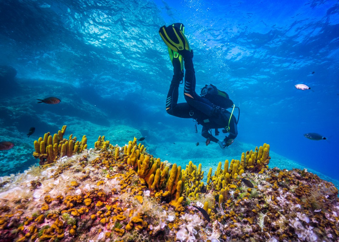 aminess-blog-six-to-do-in-krk-scuba-diving