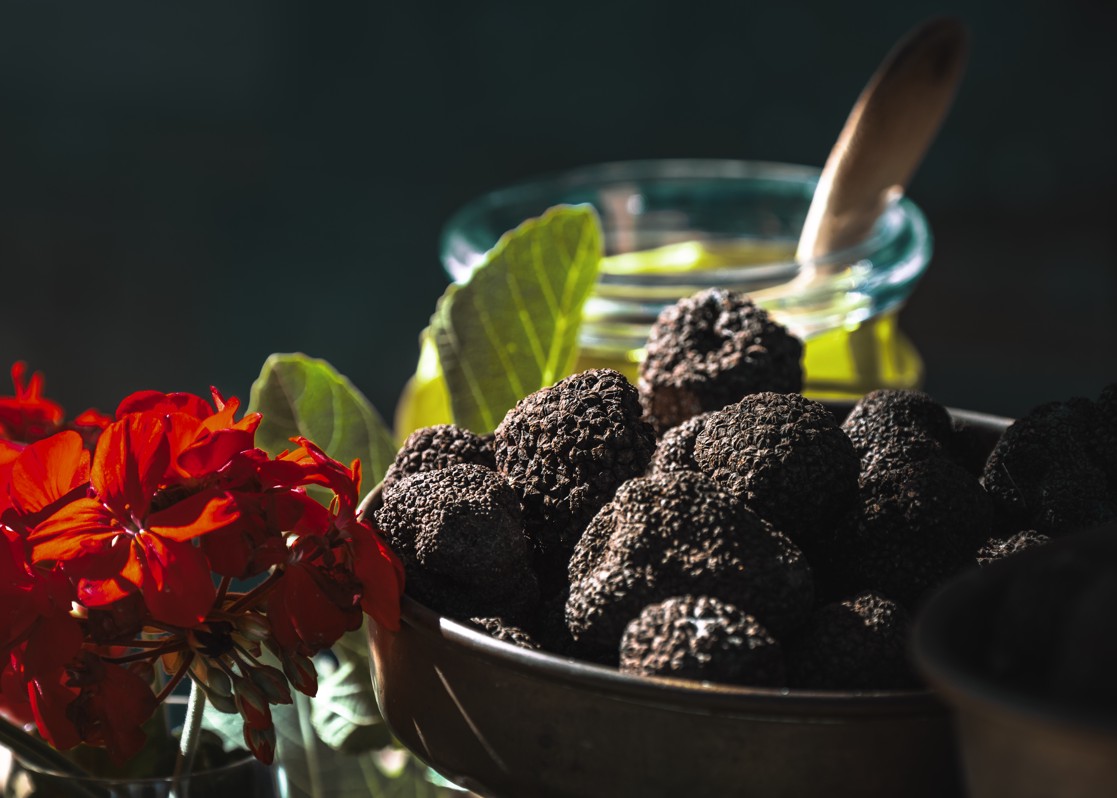 aminess-blog-magical-istrian-hilltop-towns-motovun-truffles