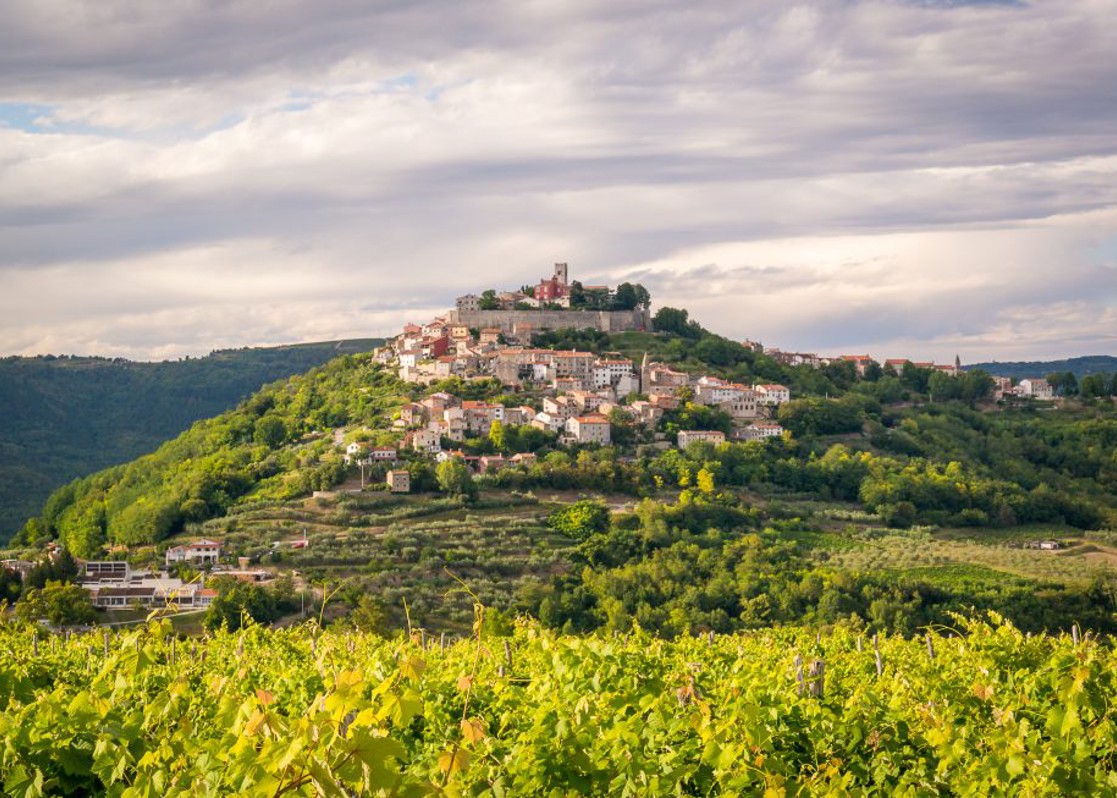 aminess-blog-adriatic-best-food-wine-festival-motovun