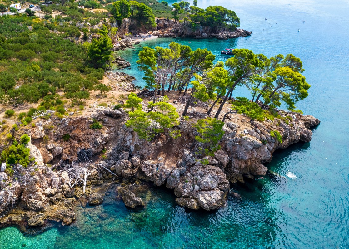 aminess-blog-springtime-vacation-in-makarska-forest