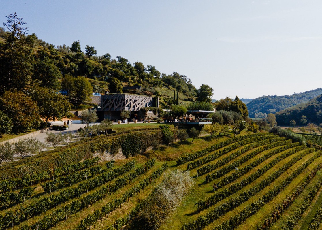 aminess-blog-best-vineyards-istria-country-kozlovic