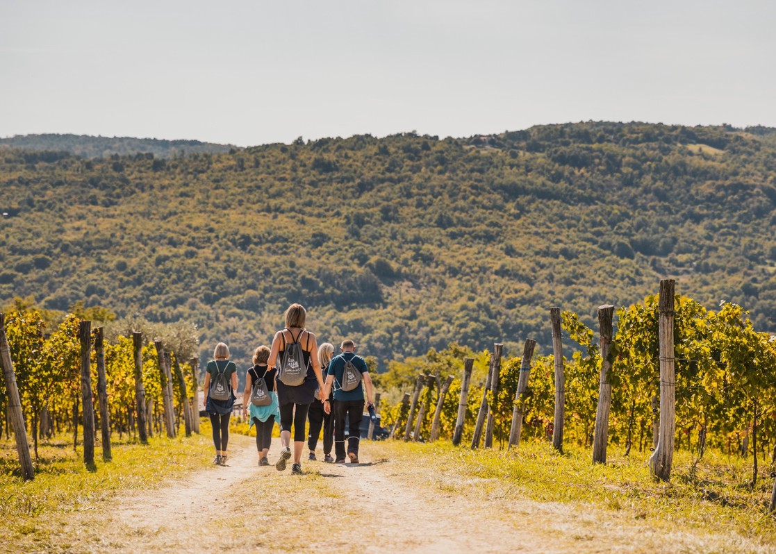 aminess-blog-adriatic-best-food-wine-festival-vineyard