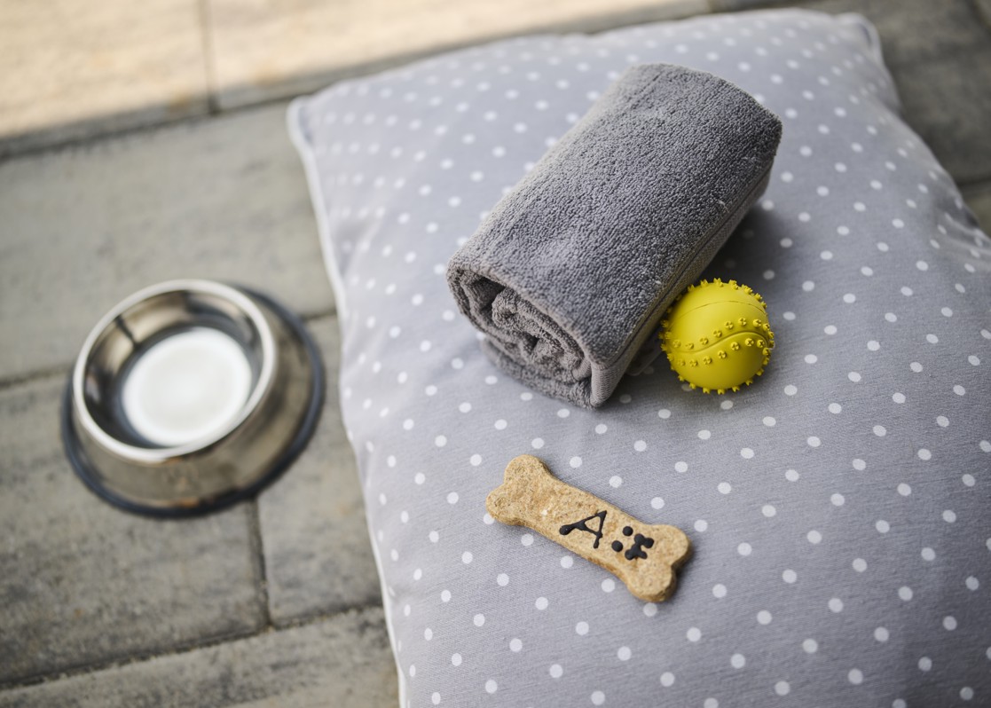blog-aminess-glamping-villa-pet-friendly-detail