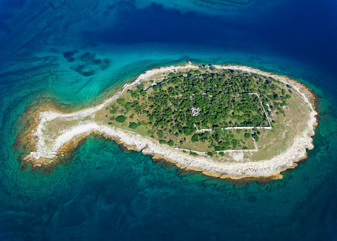aminess-blog-best-things-to-do-in-istria-brijuni-fish-island