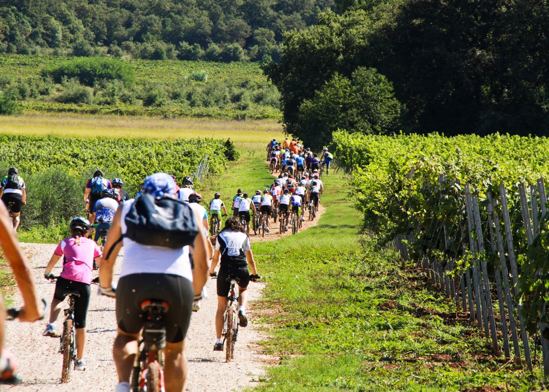 aminess-blog-sport-in-novigrad-bike