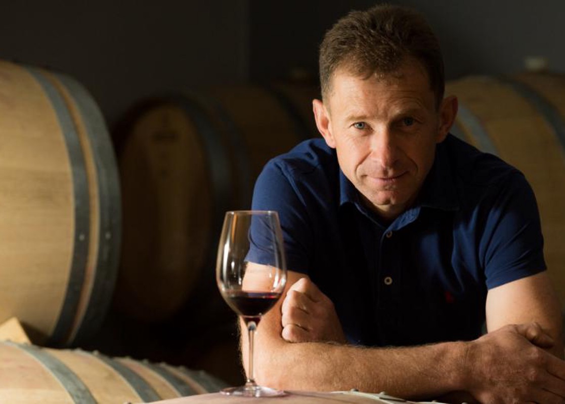 aminess-blog-must-visit-wineries-of-istria-radovan-wines