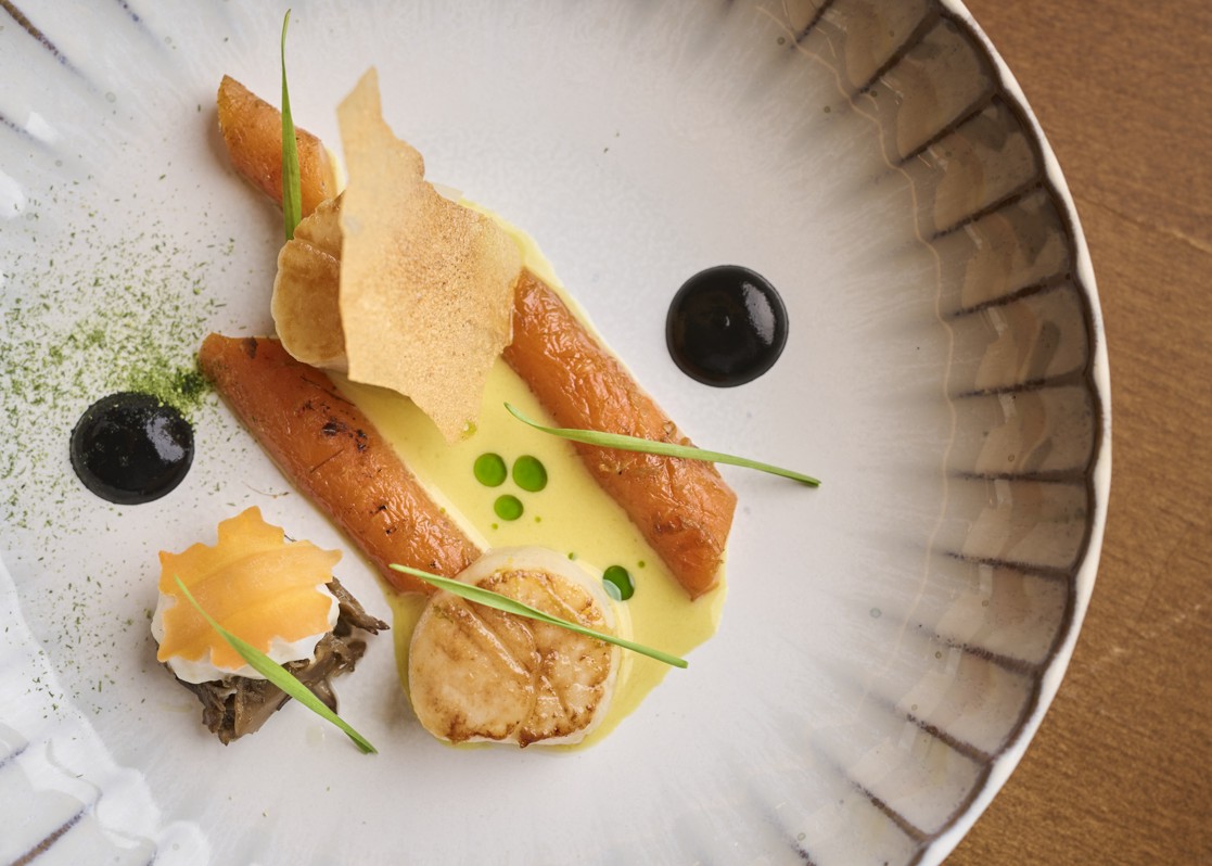 aminess-gourmet-plated-seafood-dish