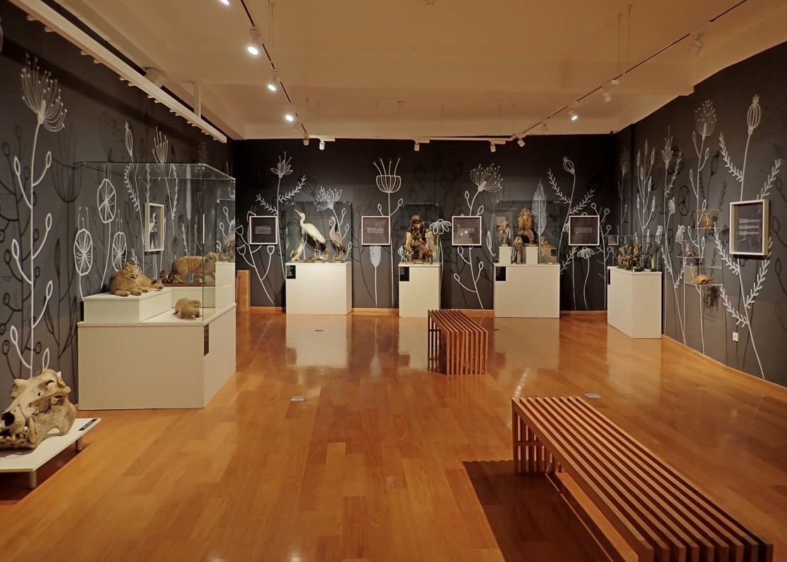 aminess-blog-dubrovnik-museums-natural-history