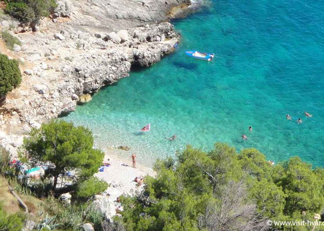 aminess-blog-lucisca