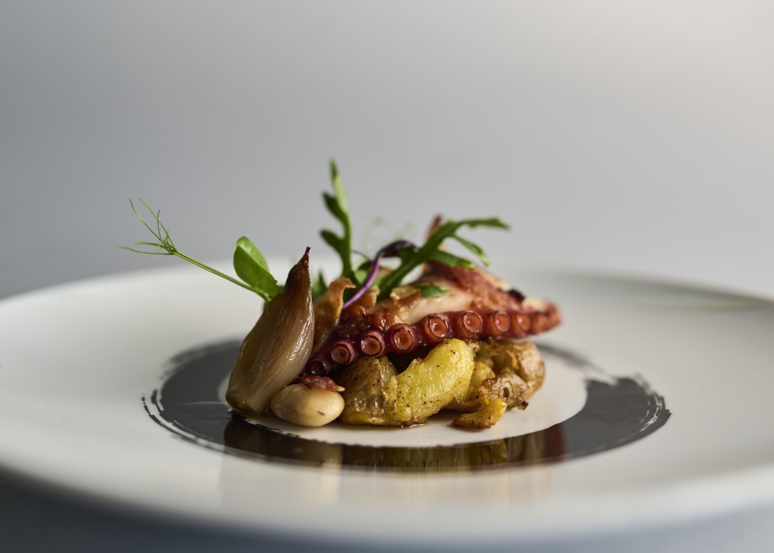 aminess-laurel-khalani-hotel-theabove-octopus