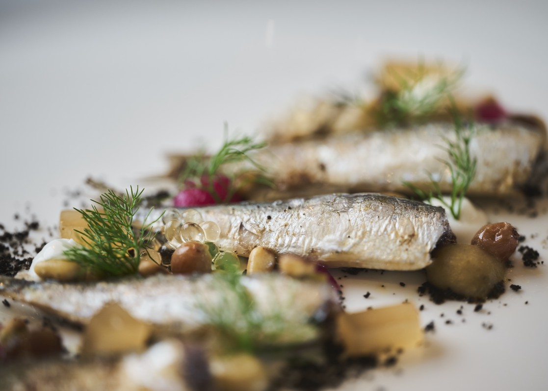 aminess-destination-orebic-gastronomy-seafood
