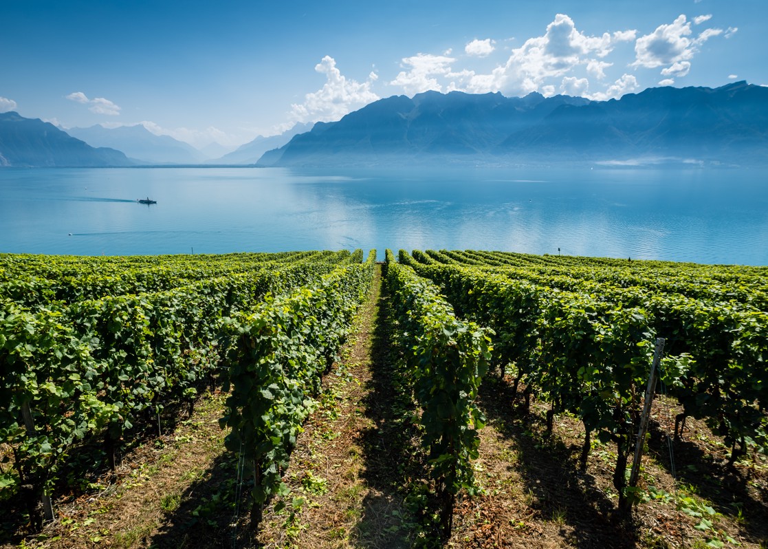 aminess-blog-traditional-croatian-foods-croatia-peljesac