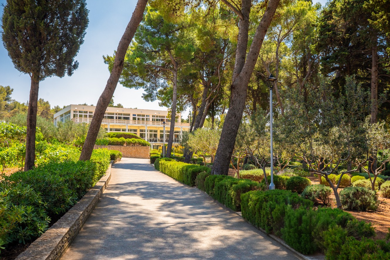 View of the exterior of Aminess Vival Velaris Resort with a tree-lined walkway and Mediterranean vegetation, Brač