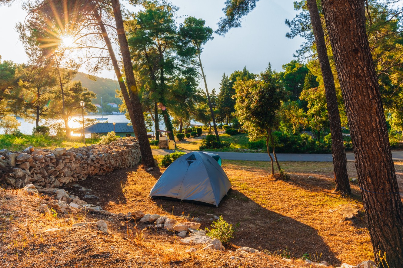 Un posto per campeggio presso AminessPort9 Planet Camping di Aminess, Korcula, con una tenda montata in mezzo a alti pini, luce solare chiazzata e copertura del terreno naturale, creando un'atmosfera esterna tranquilla.