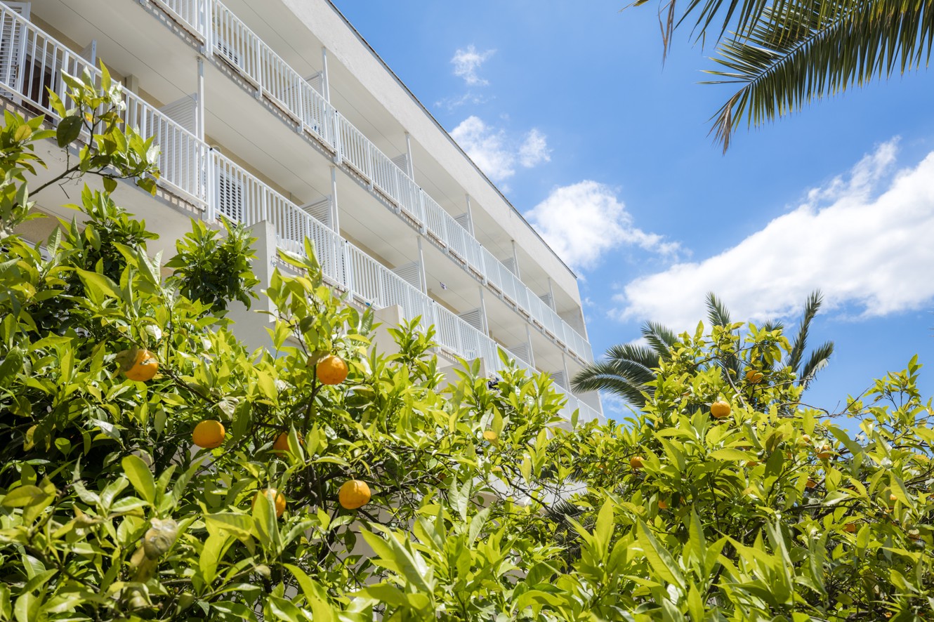 Exterieur uitzicht op Aminess Maradiso Orsan Hotel in Orebic omgeven door weelderig groen en een helderblauwe hemel