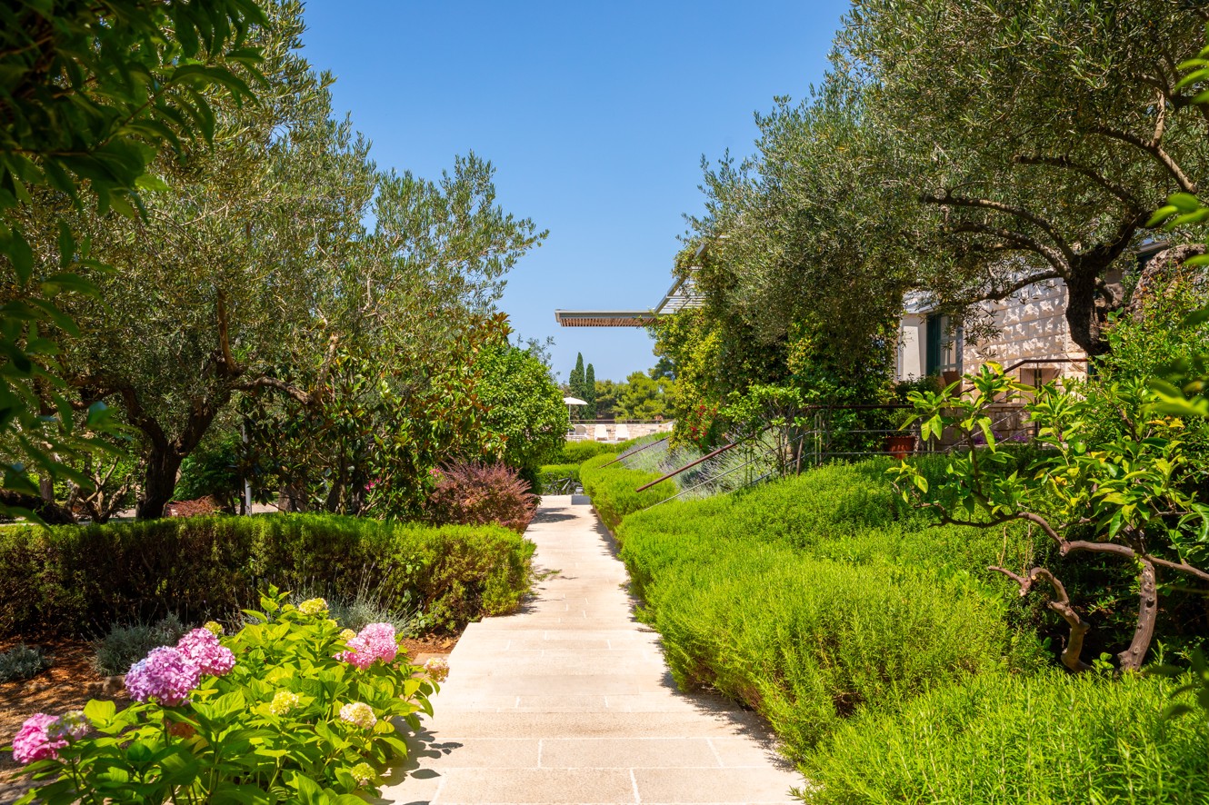 Stone path through a Mediterranean garden with lavender, olive trees and flowers at Aminess Vival Velaris Resort, Brač