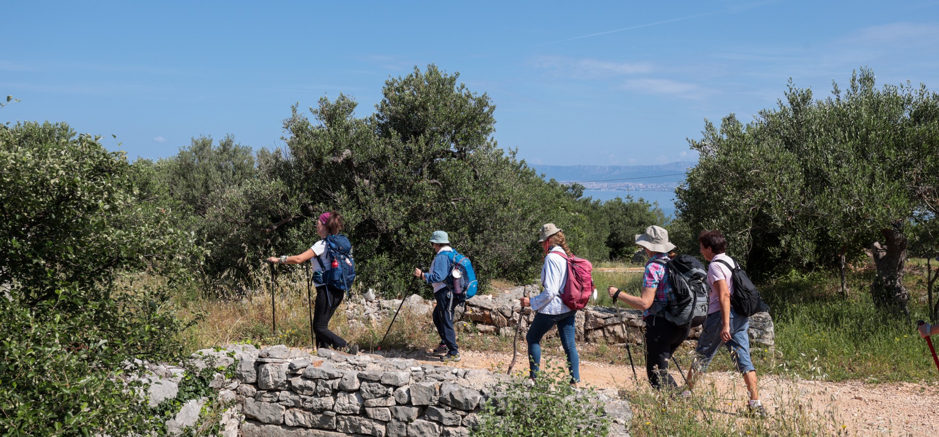 Percorso panoramico a piedi sull'isola di Brac, Croazia, circondato da vegetazione mediterranea, muri a secco e un tranquillo paesaggio naturale.