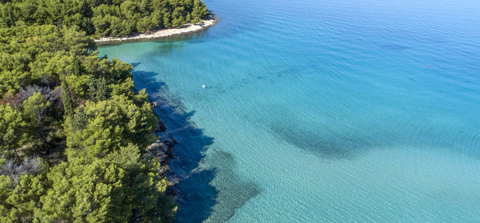 Luftaufnahme eines felsigen Strandes auf der Insel Brač, Kroatien, umgeben von üppiger grüner Vegetation und dem klaren blauen Adriatischen Meer.