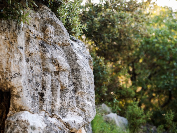 Steinlandschaft auf der Insel Brač, Kroatien, mit traditionellen Trockensteinmauern, rauem Gelände und mediterraner Vegetation.
