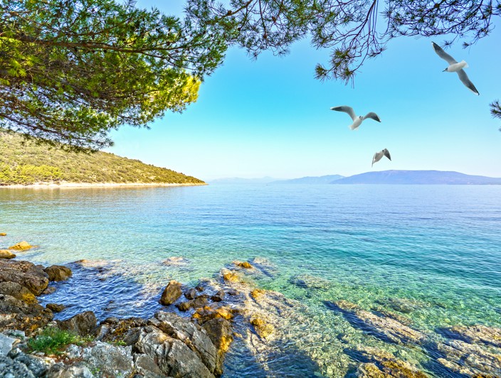 La spiaggia a Pag è un incantevole luogo con acque cristalline e un'atmosfera tranquilla e rilassata, perfetta per una giornata di pace trascorsa presso l'Adriatico.