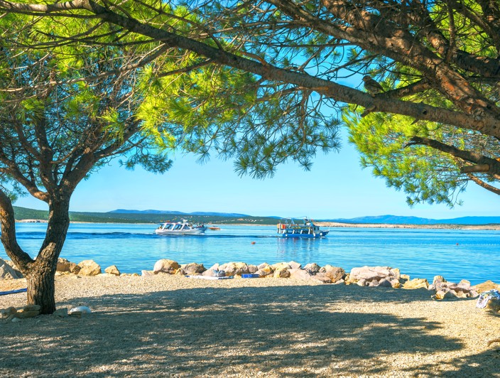 Pine-shaded beach overlooking calm blue waters in Crikvenica, Croatia.