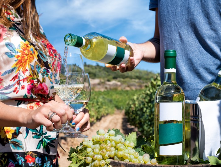 Esperienza di degustazione di vino in un vigneto con vino bianco versato e uva fresca a Crikvenica, Croazia.