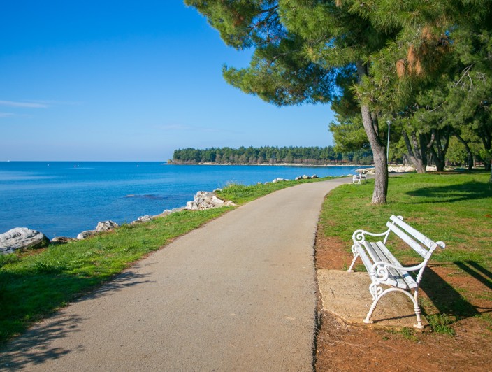 Nadmorska promenada w cieniu sosen przy plaży Karpinjan w Novigradzie