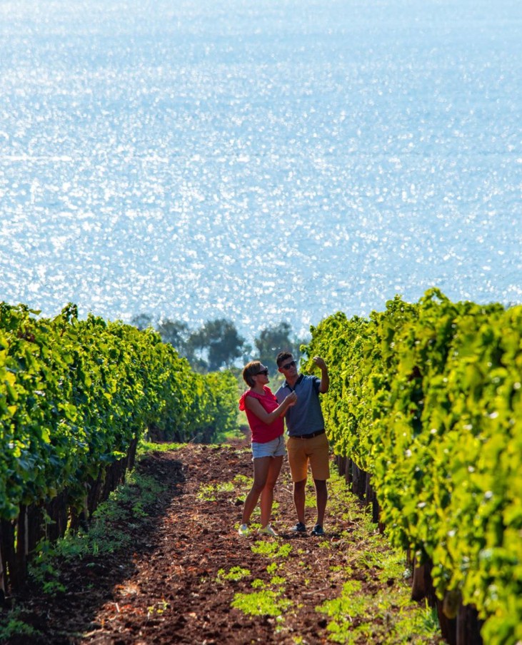 Coppia che passeggia tra i vigneti sul mare in autunno.