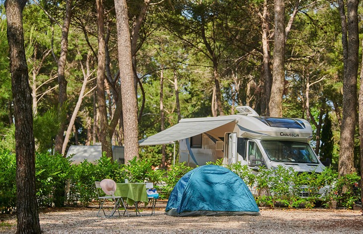 Kamp parcela s satorom i kamperom u hladu borove sume u prirodnom okruzenju