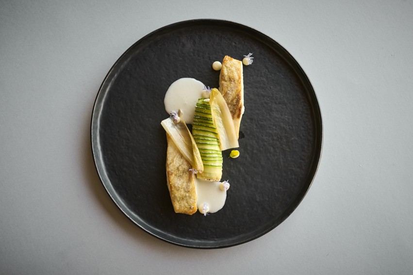 File jadranskog brancina