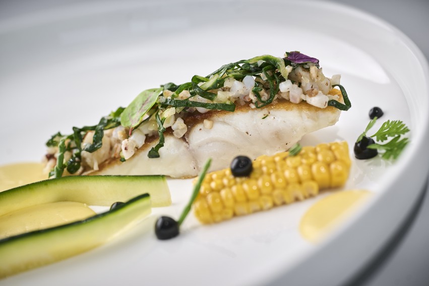 Divlji jadranski brancin