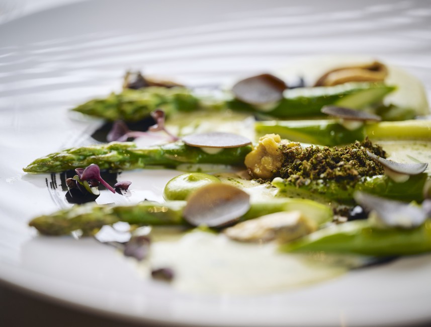 Seasonal gourmet dish with wild asparagus creatively served in an Aminess restaurant in Njivice