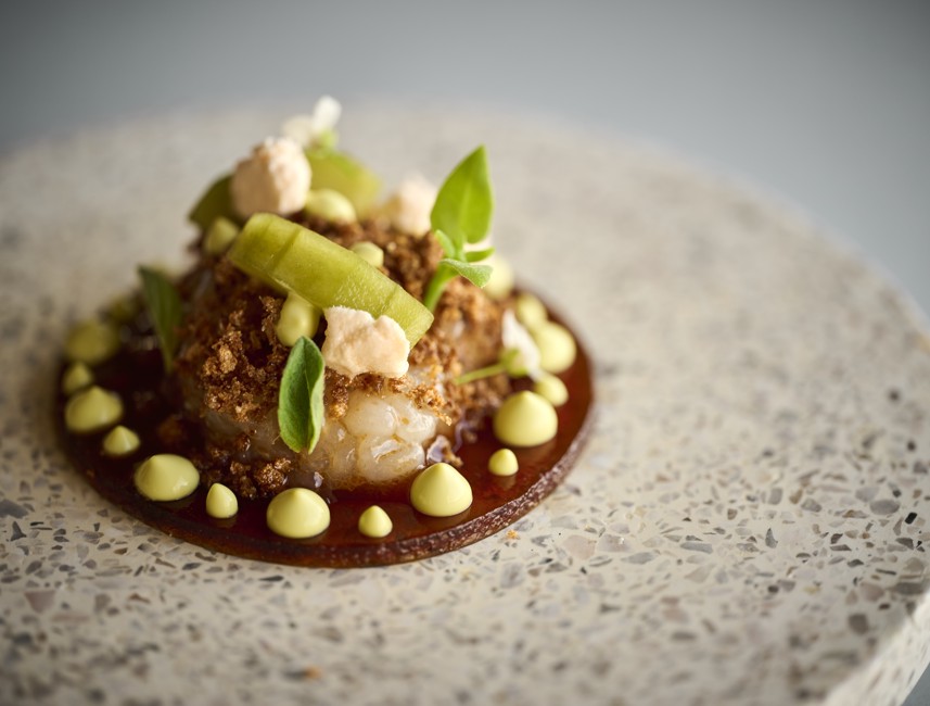 Elegant langoustine dish with local Kvarner flavors, beautifully plated at 7 Seas Restaurant & Bar.