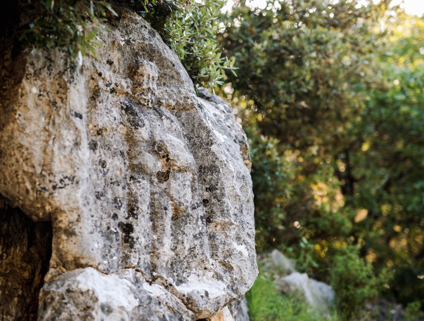 Stone landscape on Brač Island, Croatia, showcasing traditional dry-stone walls, rugged terrain, and Mediterranean vegetation.
