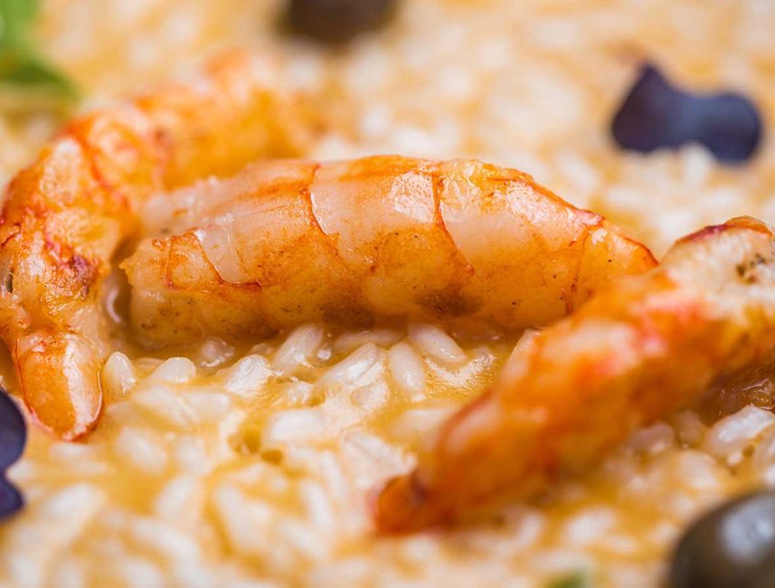 Creamy shrimp risotto with a large shrimp and garnishes in Novi Vinodolski, Croatia.