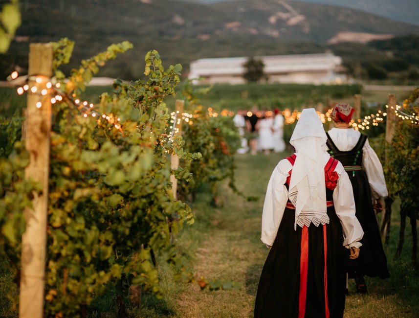A traditional wine-themed event in Novi Vinodolski, featuring a person in folk costume walking through a vineyard.